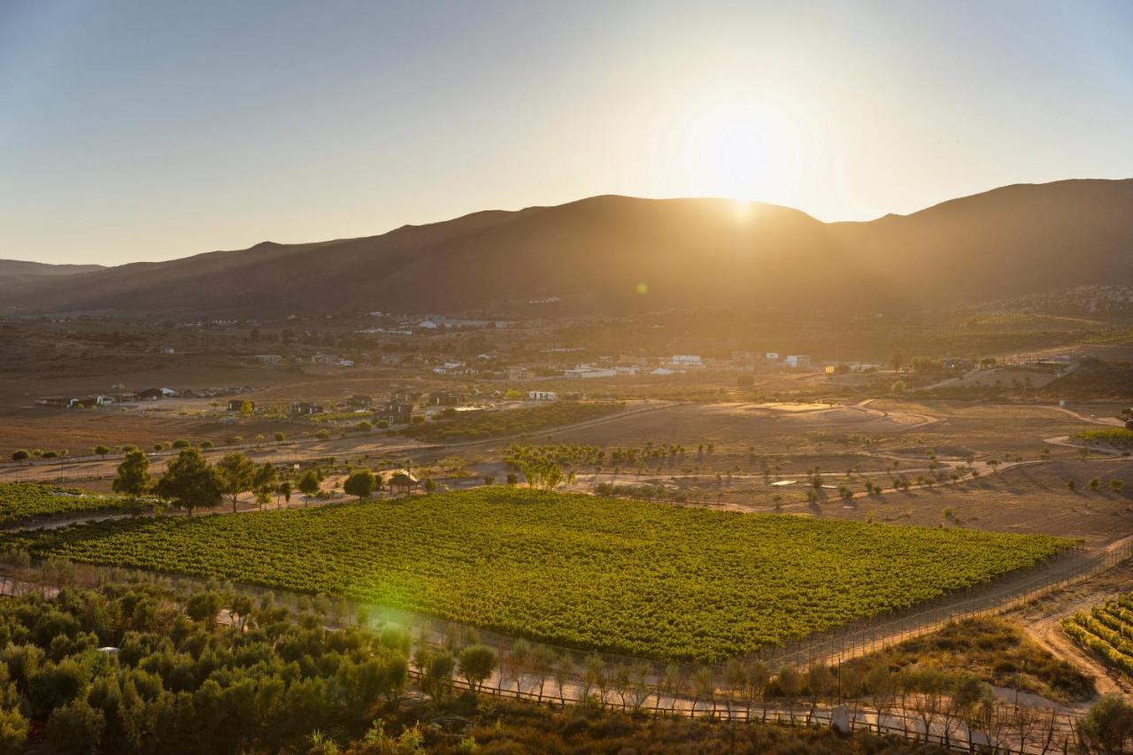 Banyan Tree Veya, Valle De Guadalupe - A Wellbeing & Wine Resort Buitenkant foto