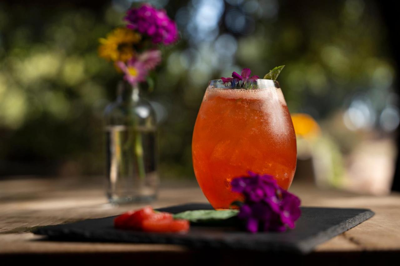 Banyan Tree Veya, Valle De Guadalupe - A Wellbeing & Wine Resort Buitenkant foto